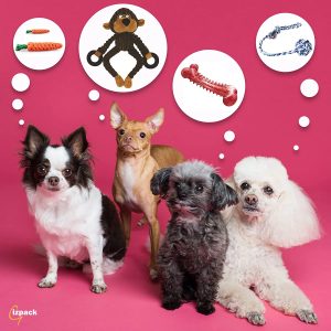 Pet Toys